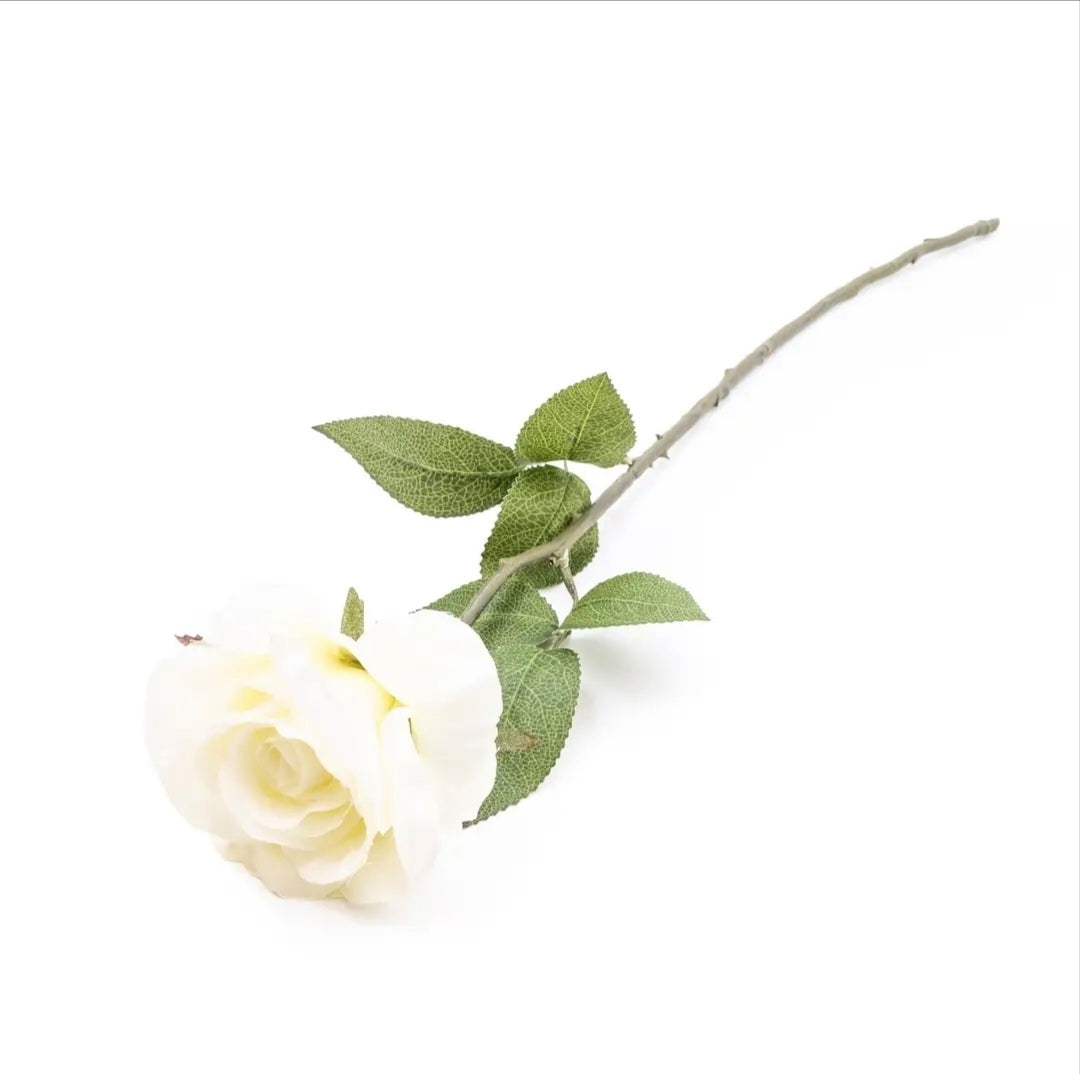 Cream Open Rose Single Stem