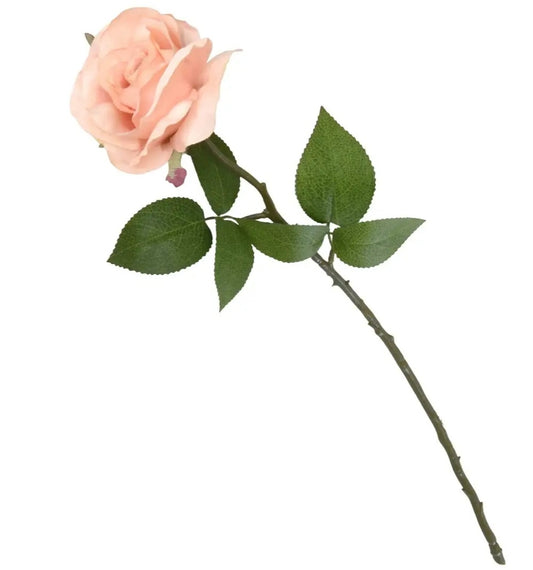 Peach Open Rose Single Stem
