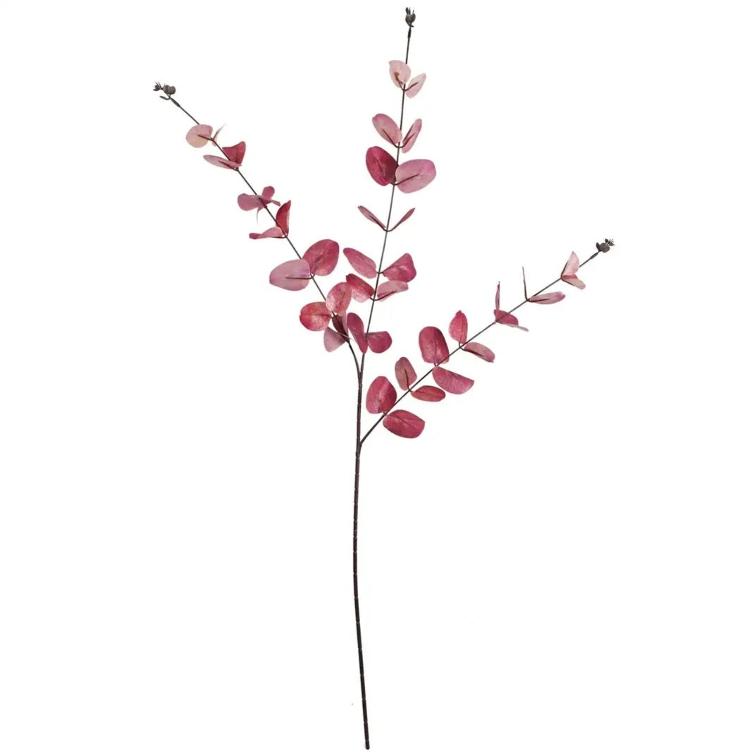 Pink Eucalyptus Foliage Stem