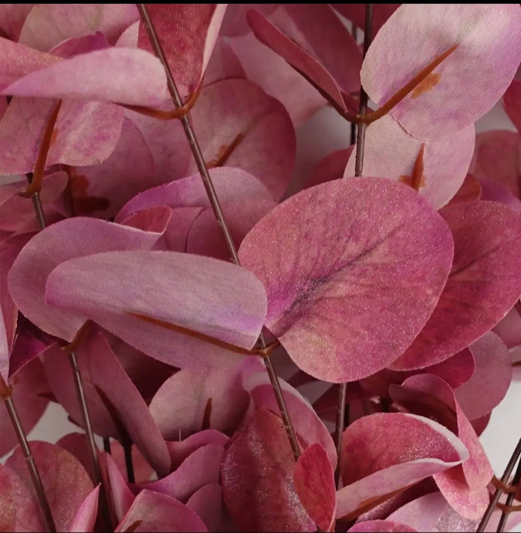 Pink Eucalyptus Foliage Stem